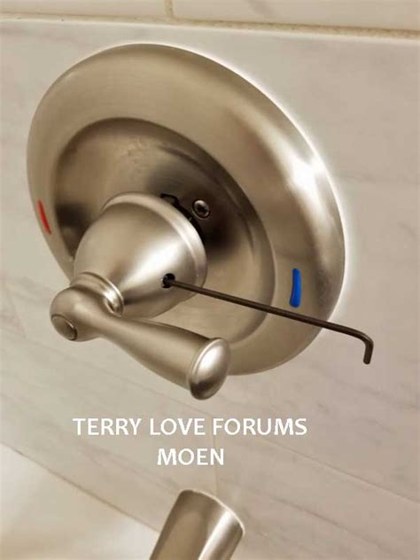 remove moen shower handle|How To Remove Moen Shower Handle Without Screws [Solved]